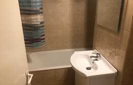 Apartament 1 camera, 30 mp, zona strazii Nicolae Titulescu