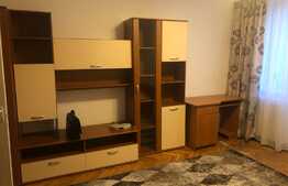 Apartament 1 camera, 30 mp, zona strazii Nicolae Titulescu