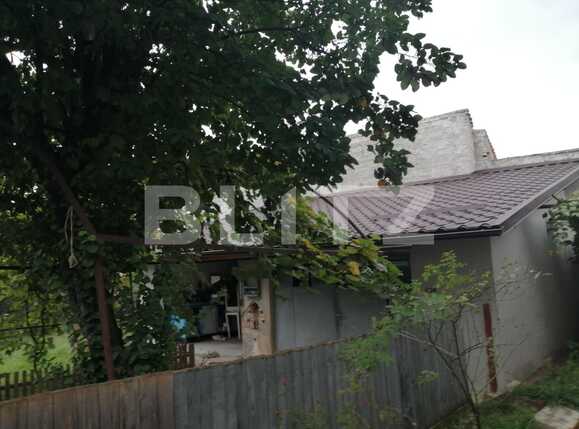 Casa de vânzare 4 camere Gruia - 57045CV | BLITZ Cluj-Napoca | Poza5