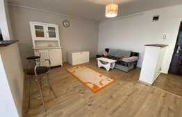 Apartament 2 camere, PetFriendly, 54 mp,  parcare, zona Teilor!