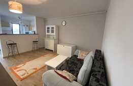 Apartament 2 camere, PetFriendly, 54 mp,  parcare, zona Teilor!
