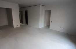  Apartament 1 camera, Balcon, semifinisat! Zona Tauti!