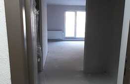  Apartament 1 camera, Balcon, semifinisat! Zona Tauti!