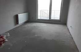  Apartament 2 camere, Balcon, Gradina, semifinisat! Zona Tauti!