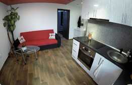 Apartament cu 2 camere, finisat, 35mp, cu terasa de 17 mp si o panorama deosebita, zona Lombului