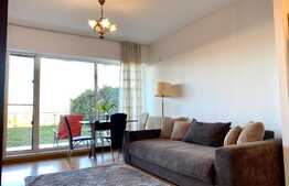 Apartament cu terasa 50mp, 2 camere, semidecomandate, Rezidential Viva city, pet friendly