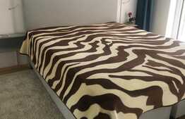 Apartament de inchiriat in cartierul Zorilor, doua camere, 54 mp + terasa de 32 mp !!!