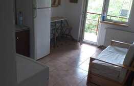 Apartament 1 camera, 45 mp, zona strazii Alexandru Odobescu