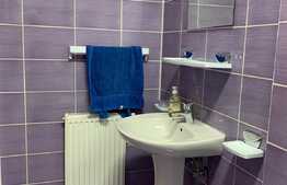 Apartament cu 2 camere, 50 mp, A.C, zona strazii Beiusului