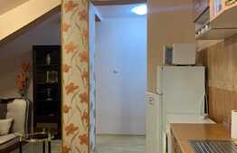 Apartament cu 2 camere, 50 mp, A.C, zona strazii Beiusului