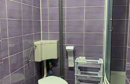 Apartament cu 2 camere, 50 mp, A.C, zona strazii Beiusului