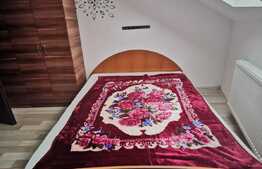 Apartament cu 3 camere, 56 de mp, pet friendly, loc de parcare, zona Grand Hotel Italia