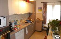 Vanzare apartament cu 4 camere, 83 mp si 99 mp gradina!