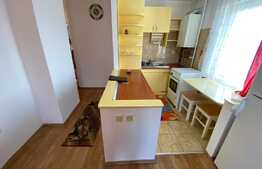 Apartament cu 2 camere, 42 mp, zona Lidl!