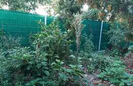 De vanzare casa individuala, 93,5 mp utili, cartier Gruia