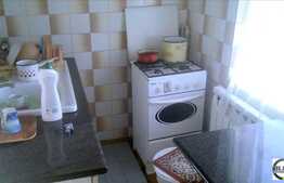 Garsoniera de vanzare, 25 mp utili, zona Negoiu