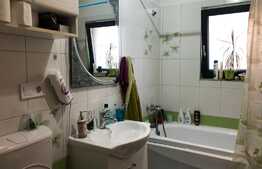 Apartament 2 camere cu gradina, zona Erich Bergel