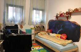 Apartament 2 camere cu gradina, zona Erich Bergel