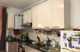 Apartament 2 camere cu gradina, zona Erich Bergel