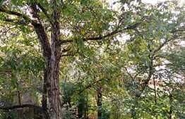 Apartament, 2 camere decomandat, 65mp, Grigorescu.