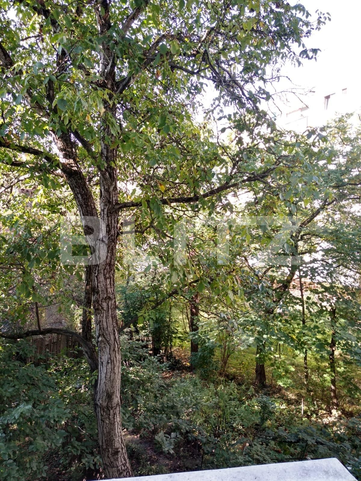 Apartament de vânzare 2 camere Grigorescu - 57127AV | BLITZ Cluj-Napoca | Poza4