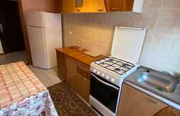 Apartament 2 camere, 55 mp, decomandat, zona Muzeul Apei! 