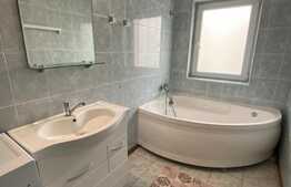 Apartament 2 camere, 55 mp, decomandat, zona Muzeul Apei! 