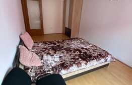 Apartament 2 camere, 55 mp, decomandat, zona Muzeul Apei! 