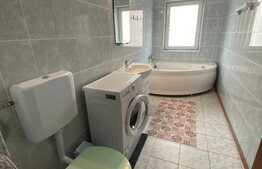 Apartament 2 camere, 55 mp, decomandat, zona Muzeul Apei! 