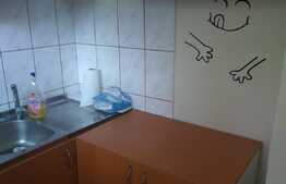 Garsoniera, 27 mp, zona strazii Bucegi