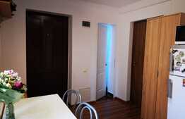 Apartament o camera, decomandat, 32mp, curte, zona Farmec