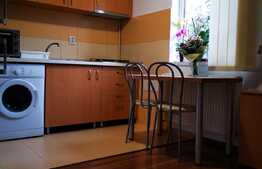 Apartament o camera, decomandat, 32mp, curte, zona Farmec