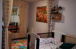 Apartament o camera, decomandat, 32mp, curte, zona Farmec