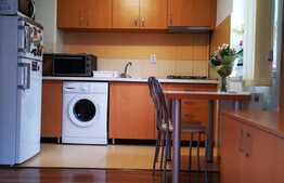 Apartament o camera, decomandat, 32mp, curte, zona Farmec