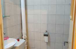 Garsoniera cocheta ideala pentru investitie, 20mp, zona Big