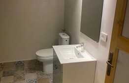 Apartament cu 2 camere, 57 mp, zona strazii Horea 