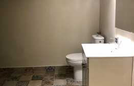 Apartament cu 2 camere, 57 mp, zona strazii Horea 