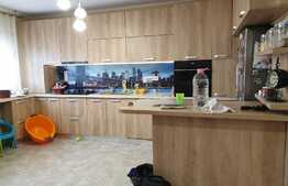 Vanzare duplex 110 mp utili, 427 mp teren!