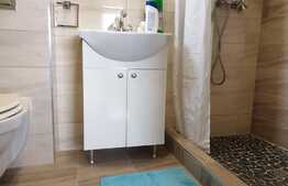 Vanzare duplex 110 mp utili, 427 mp teren!