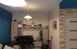 Vanzare duplex 110 mp utili, 427 mp teren!