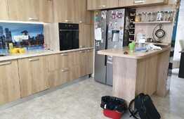 Vanzare duplex 110 mp utili, 427 mp teren!