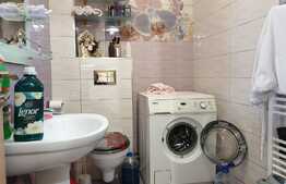 Vanzare duplex 110 mp utili, 427 mp teren!