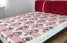 Apartament modern, 55 mp, loc de parcare, zona Borhanciului