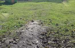 Casa de vanzare, 87 mp, 1070 mp teren, zona cu specific de activitati economice!!