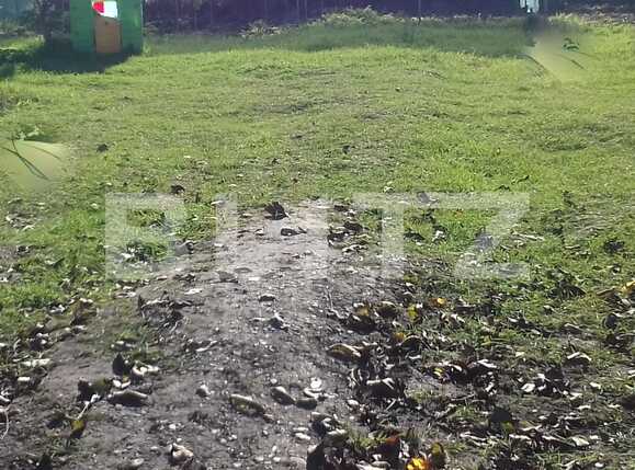 Casa de vânzare 2 camere Someseni - 57176CV | BLITZ Cluj-Napoca | Poza2