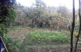 Casa de vanzare, 70 mp, 770 mp teren, zona de case!