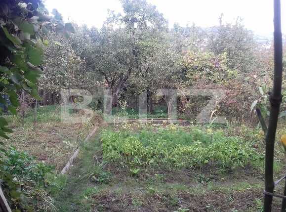 Casa de vânzare 4 camere Gruia - 57177CV | BLITZ Cluj-Napoca | Poza1