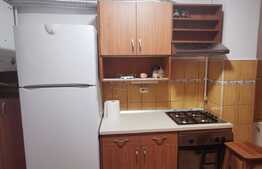 Apartament 3 camere, 98 de mp, pet friendly, garaj+loc de parcare, 2 terase, zona Campului