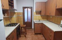 Apartament 3 camere, 98 de mp, pet friendly, garaj+loc de parcare, 2 terase, zona Campului