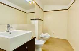 Duplex de inchiriat, 175 mp, 4 parcari, zona strazii Fagului